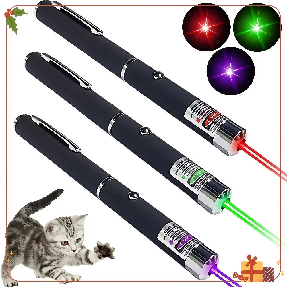 Cat's Delight Play Pointer