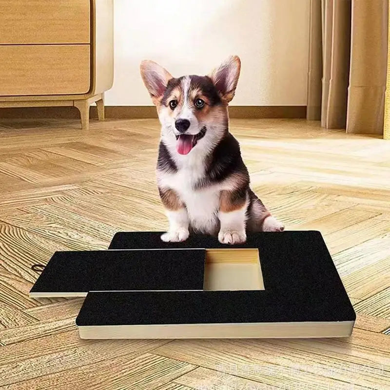 Pawsome Pet Scratch Board