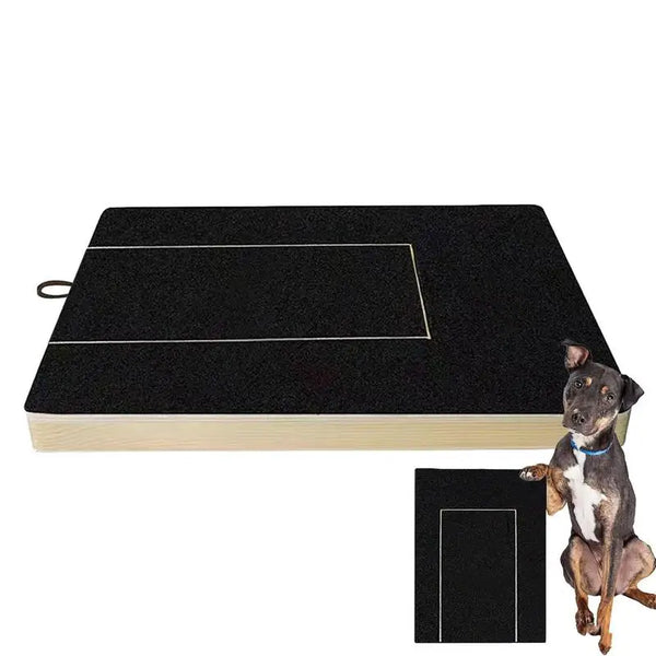 Pawsome Pet Scratch Board